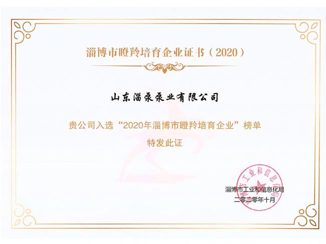 淄博市瞪羚培育证书
